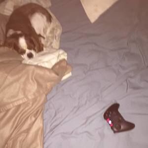 Meet your Posher, Shawn